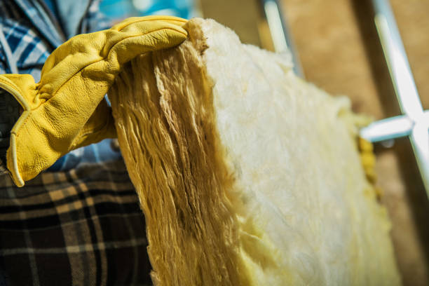 Best Specialty Insulation in Mascotte, FL