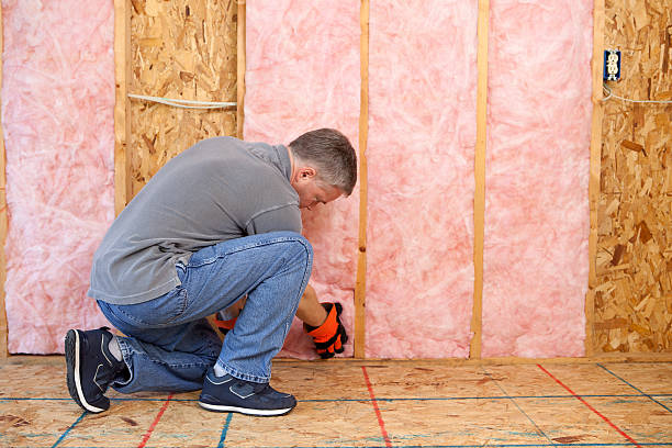 Best Commercial Insulation in Mascotte, FL